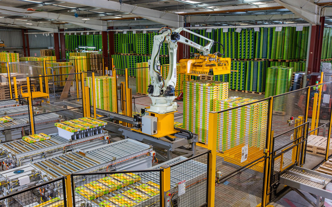 EastPack tray packing production line image