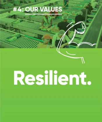 Image of Resilient