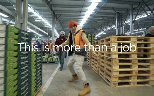 EastPack orchard employment image